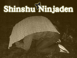 Shinshu Ninjaden