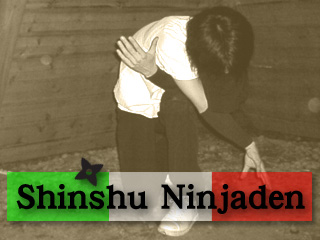 Shinshu Ninjaden